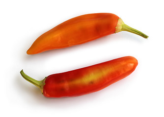 Image showing Two Peppers