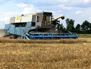 Image showing Harvest time 1