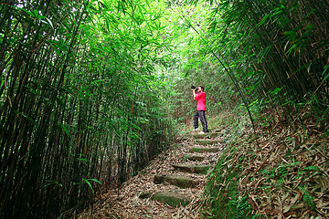 Image showing photographer taking photo in bamboo path 