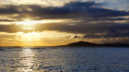 Image showing Sunset on Isabela, Galapagos