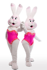 Image showing two bunny girl mascot costume