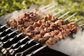 Image showing Kebabs on the grill