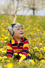 Image showing The boy sitting in flowers