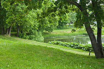 Image showing summer landscape with pond