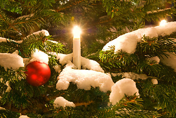 Image showing christmas tree