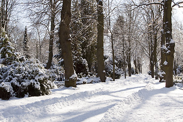 Image showing Winterlich