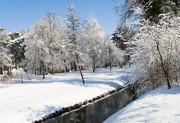 Image showing Winterlich
