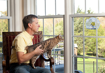 Image showing Cat watching bird on feeder