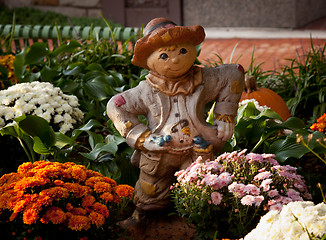 Image showing Model farmer in patch of autumn flowers