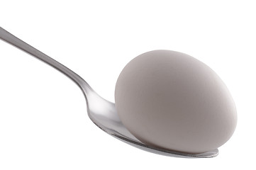 Image showing Egg