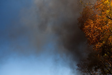 Image showing Steam train sends smoke into air