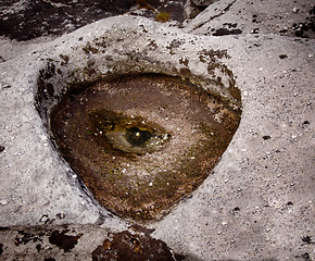 Image showing Unusual and spooky eye in a rock pool