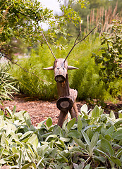 Image showing Rustic horse or stag in garden