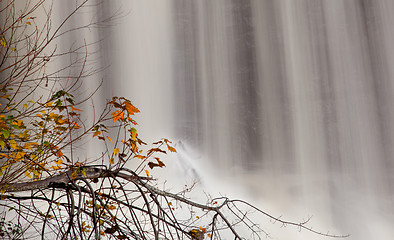 Image showing Fall leaves by waterfall