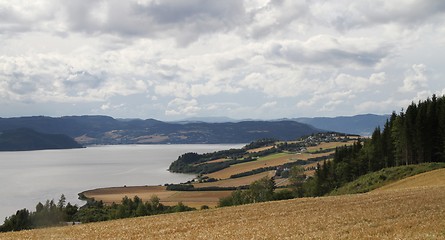 Image showing Farms by a Norwegian fjord