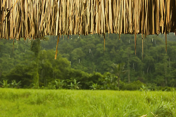 Image showing Rain