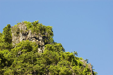 Image showing Limestone cliff