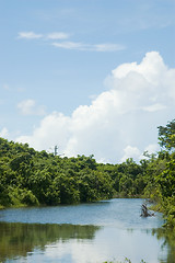 Image showing Crystal-Clear Stream