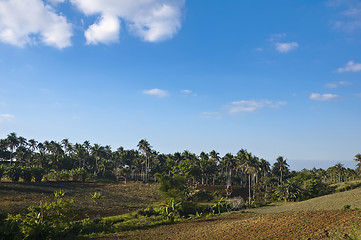 Image showing Farm