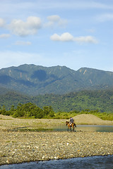 Image showing Man on Horse