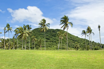 Image showing Golf Greens