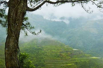 Image showing Banaue Rice Terraces