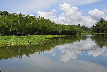 Image showing River