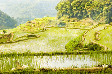 Image showing Banaue