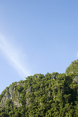 Image showing Limestone cliff