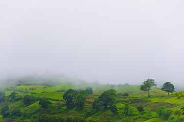 Image showing Fog