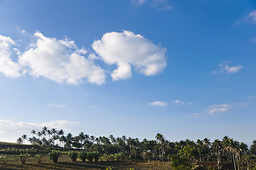 Image showing Farm