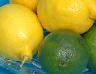 Image showing lemons & limes