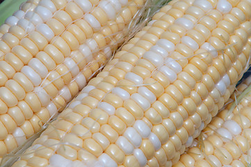 Image showing corn