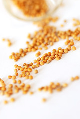 Image showing Mustard seeds