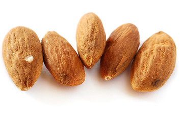 Image showing Almonds