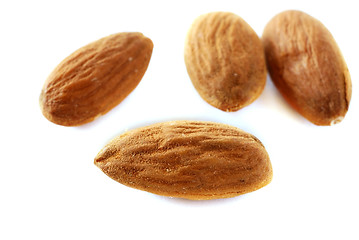 Image showing Almonds