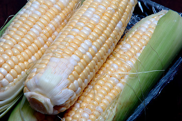 Image showing corn