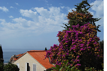 Image showing Blooming tree, house, sky ,sea