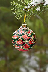 Image showing Christmas ball on a branch of pine