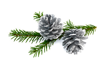 Image showing Christmas fir cones on a branch