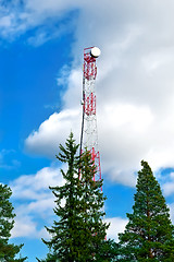 Image showing Communications tower with trees