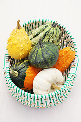 Image showing colorful pumpkins