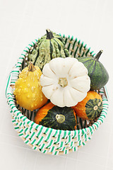 Image showing colorful pumpkins