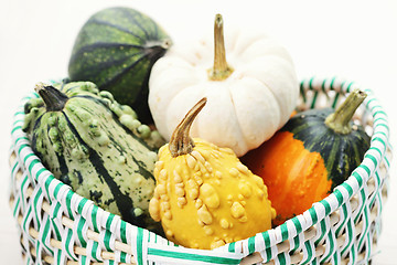 Image showing colorful pumpkins