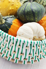 Image showing colorful pumpkins