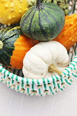 Image showing colorful pumpkins