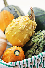 Image showing colorful pumpkins