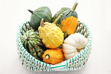 Image showing colorful pumpkins