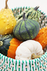 Image showing colorful pumpkins