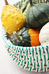 Image showing colorful pumpkins